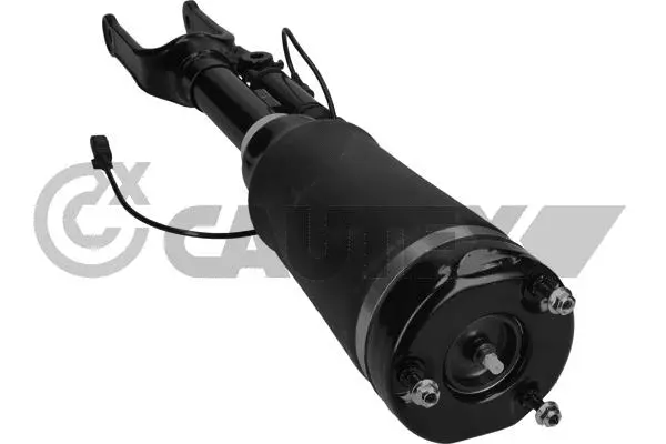 Air Suspension Strut (752027)