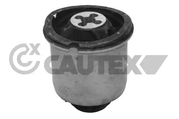 Bushing, axle beam (021335)