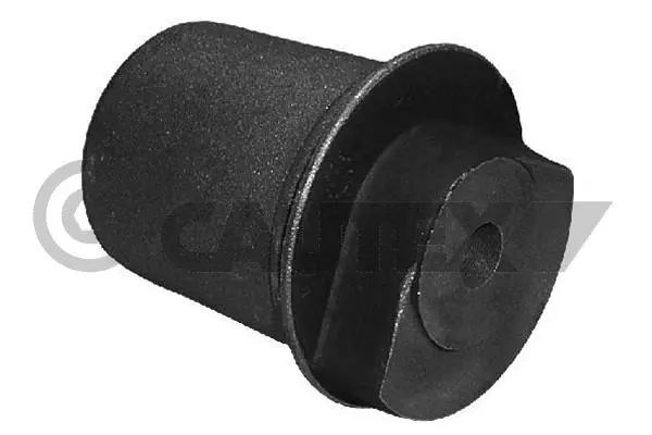 Bushing, axle beam (480545)