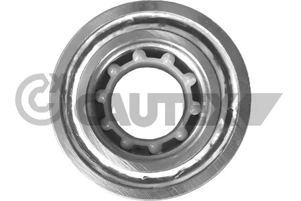 Wheel Bearing (760055)