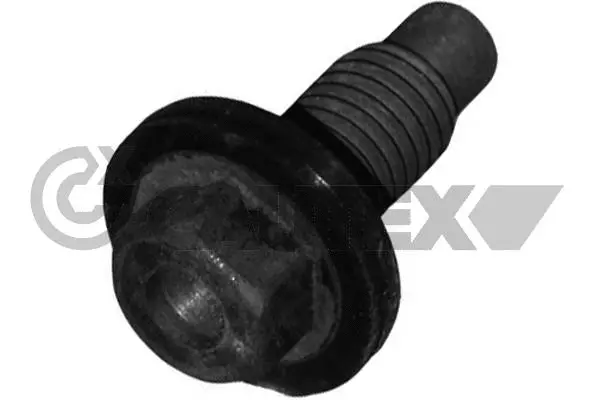 Screw Plug, oil sump (081013)