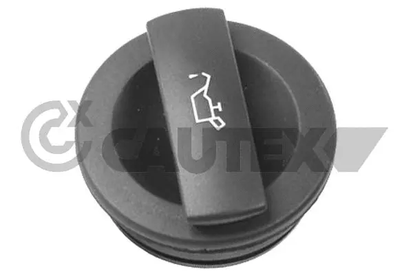 Sealing Cap, oil filler neck (766895)