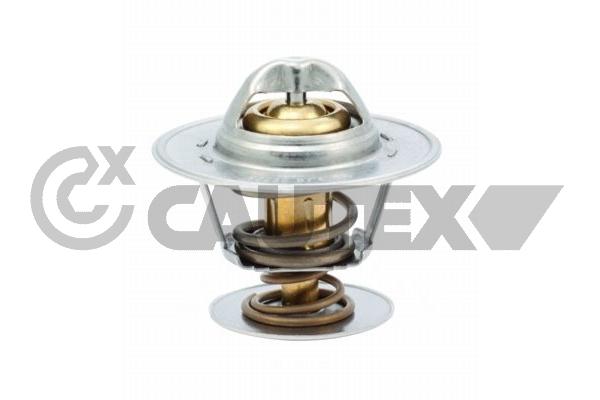 Thermostat, coolant (770207)