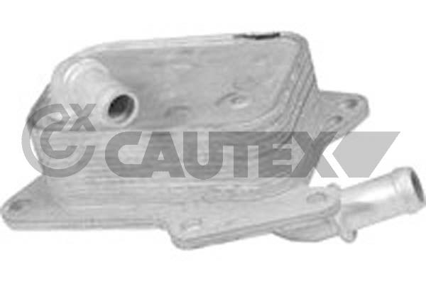 Oil Cooler, engine oil (768806)