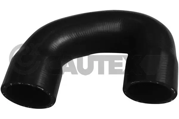 Radiator Hose (753961)