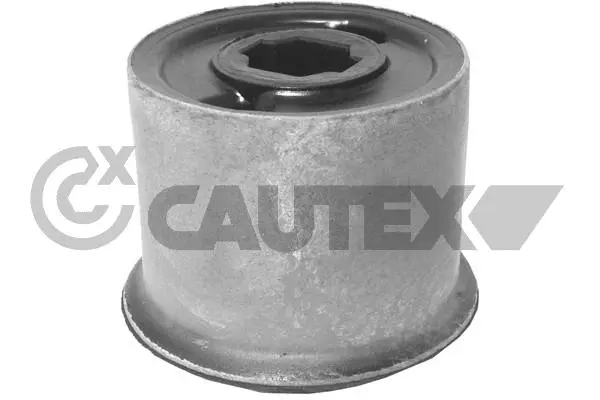 Mounting, control/trailing arm (461279)