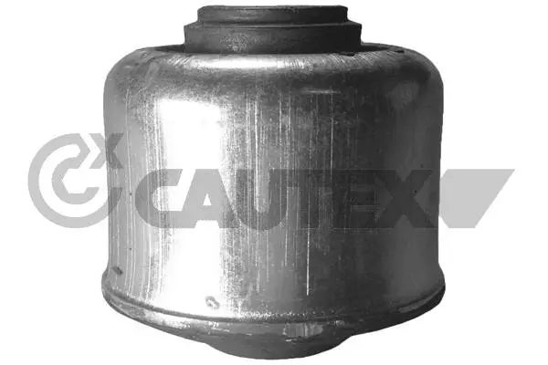 Mounting, control/trailing arm (020794)