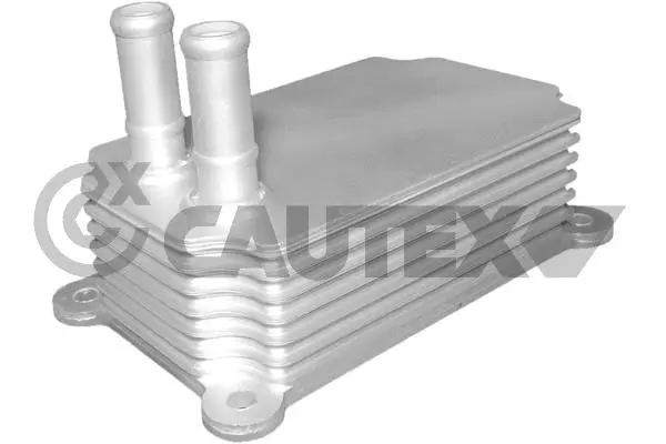 Oil Cooler, engine oil (081289)