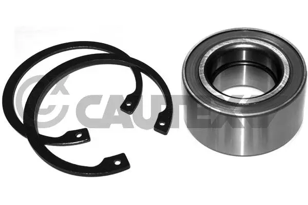 Wheel Bearing Kit (462588)