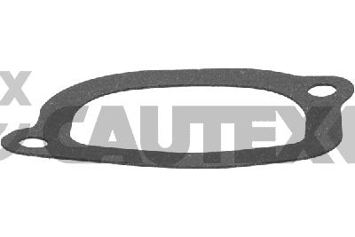 Gasket, thermostat housing (767984)