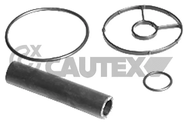 Gasket, oil cooler (771250)