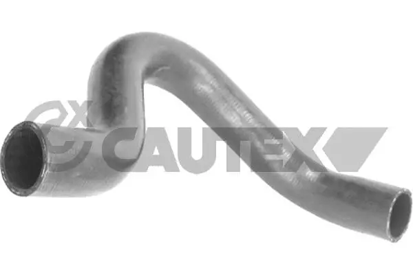 Radiator Hose (767525)