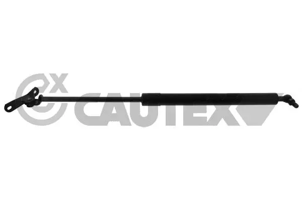 Gas Spring, boot/cargo area (773016)