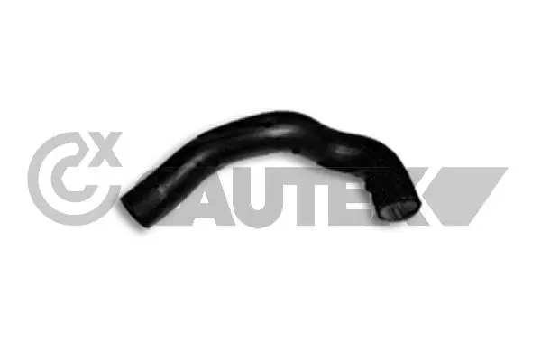 Radiator Hose (186036)