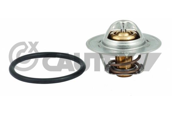 Thermostat, coolant (756883)