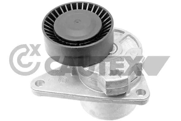 Belt Tensioner, V-ribbed belt (772423)