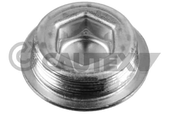 Screw Plug, oil sump (756814)