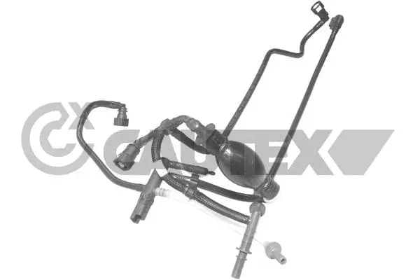 Fuel Line (036799)