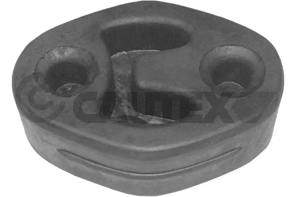 Mount, exhaust system (080605)