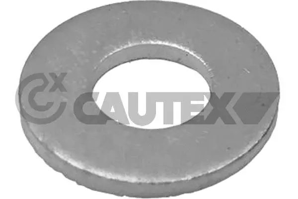 Seal Ring, injector (760355)