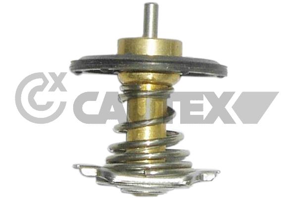 Thermostat, coolant (772529)