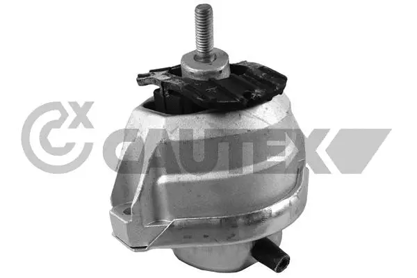 Mounting, engine (201648)