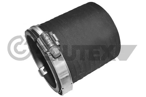 Charge Air Hose (466869)