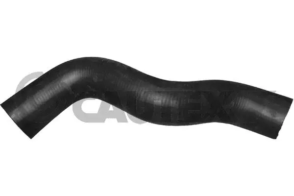 Radiator Hose (086266)