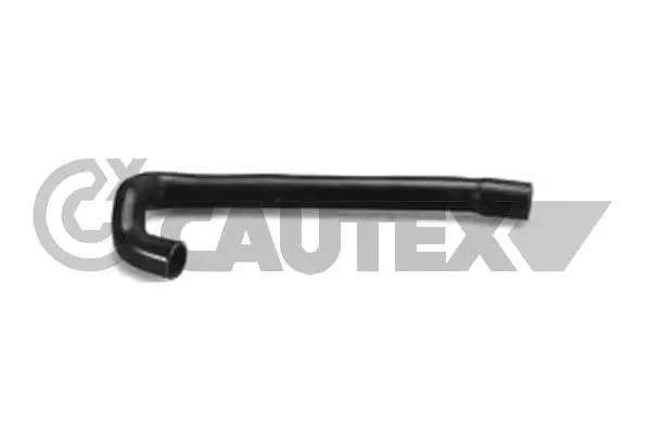 Radiator Hose (126118)