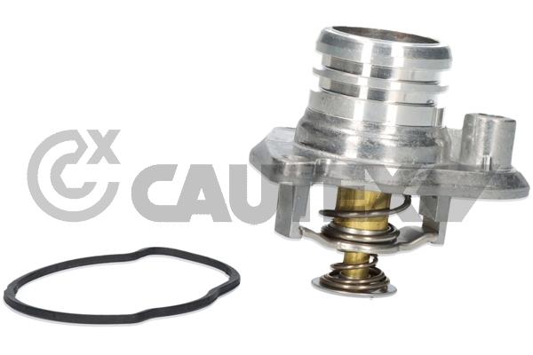 Thermostat, coolant (750799)