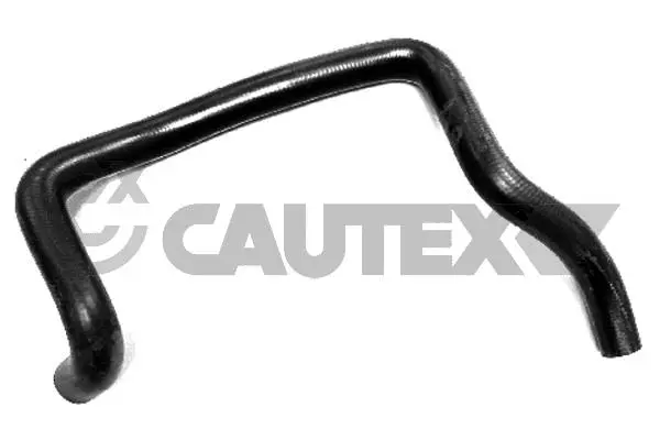 Radiator Hose (036762)