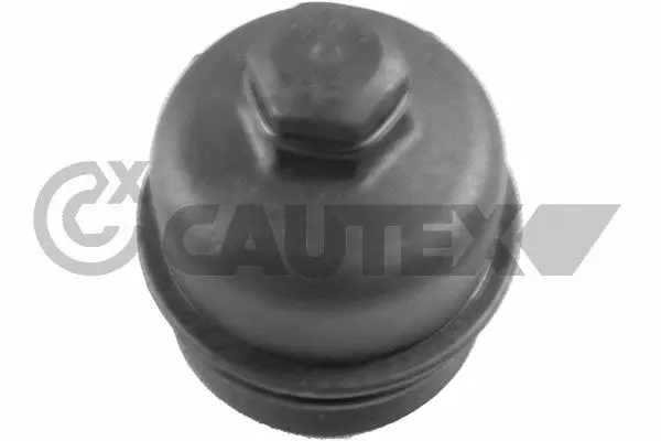 Cap, oil filter housing (031594)