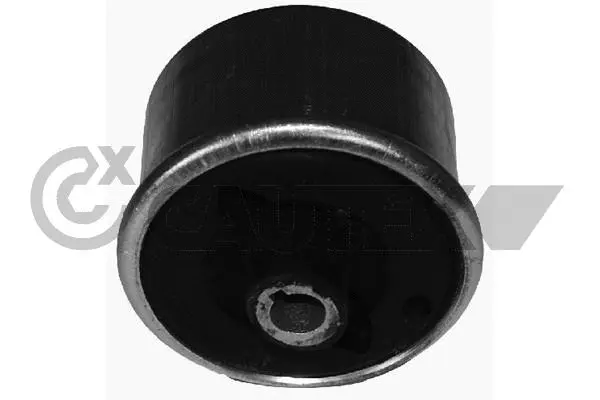 Mounting, control/trailing arm (081036)
