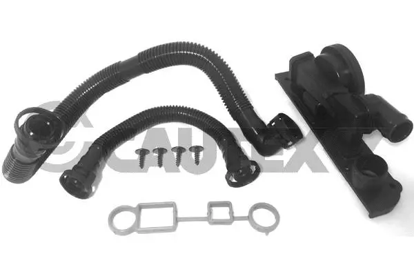 Valve, crankcase ventilation (462616)