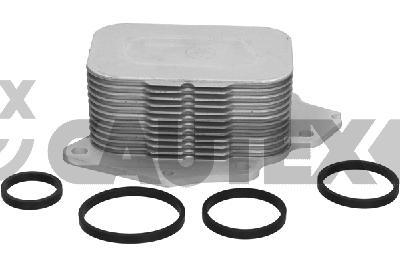 Oil Cooler, engine oil (031551)