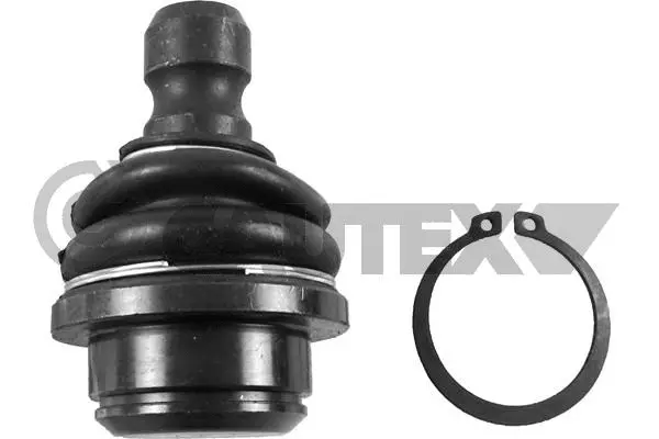 Ball Joint (755079)
