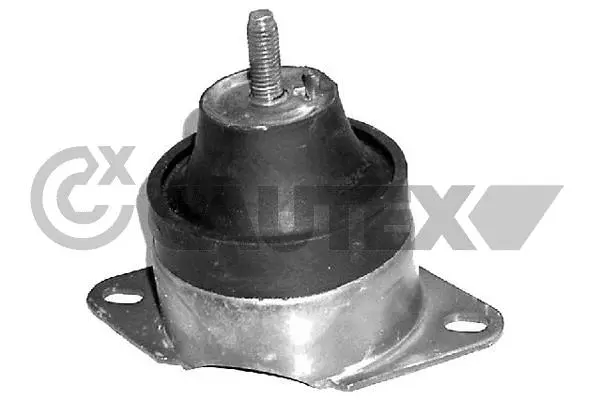 Mounting, engine (031440)