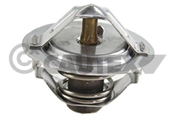 Thermostat, coolant (770212)