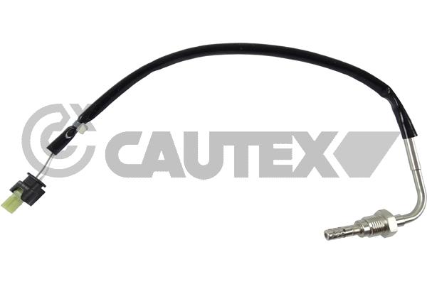 Sensor, exhaust gas temperature (770256)