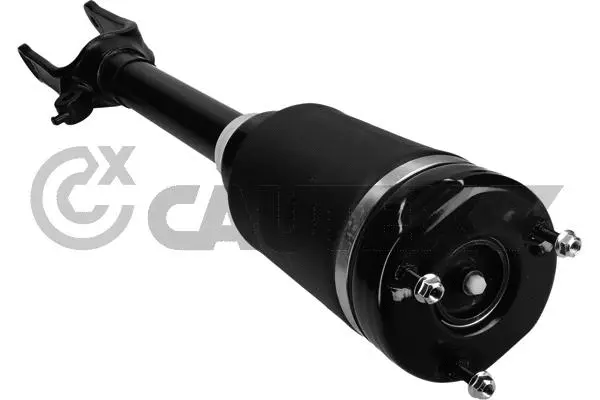 Air Suspension Strut (751947)
