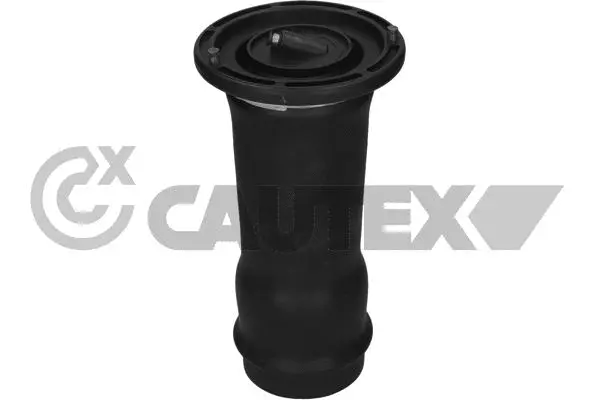 Air Spring, suspension (753336)