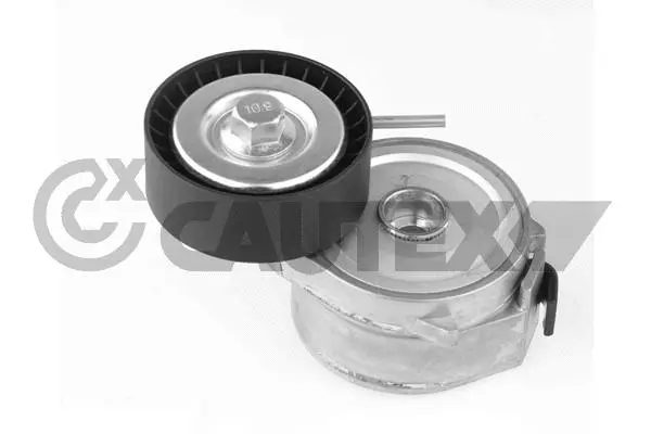 Tensioner Lever, V-ribbed belt (756834)