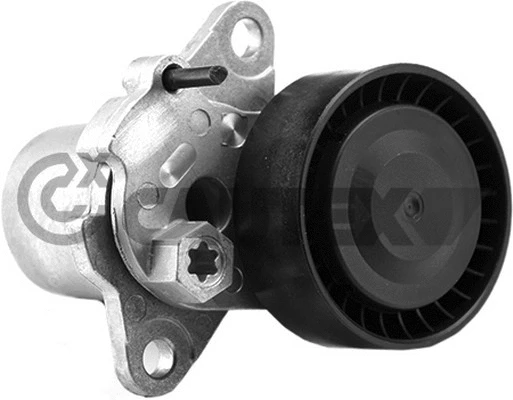 Belt Tensioner, V-ribbed belt (756832)