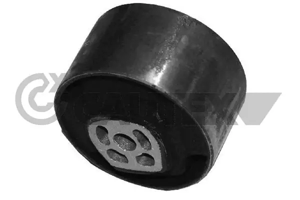 Mounting, engine (031512)