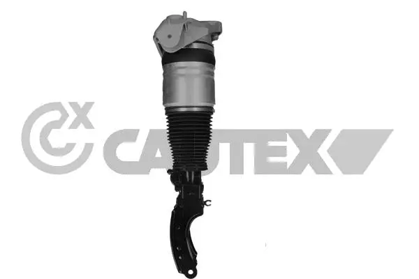Air Suspension Strut (752019)