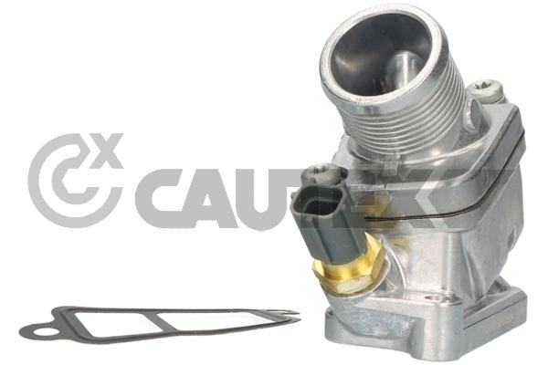 Thermostat, coolant (750826)