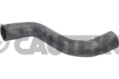 Radiator Hose (016341)