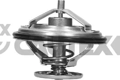 Thermostat, coolant (770834)