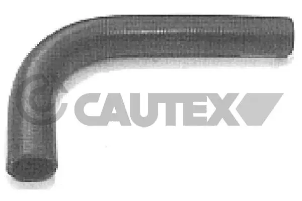 Radiator Hose (036190)