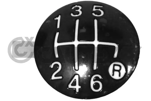 Gear Shift Lever Knob (770563)